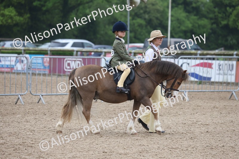 20260504-0111 - Class 9 - Lead Rein Pony