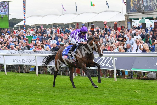 230823-Race 3-Continuous-0464 - Race 3 3.00pm Sky Bet Great Voltigeur Stakes