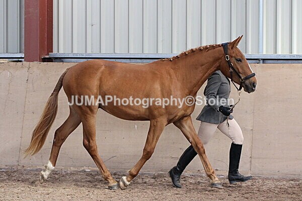 SIAL9613 - Indoor Classes