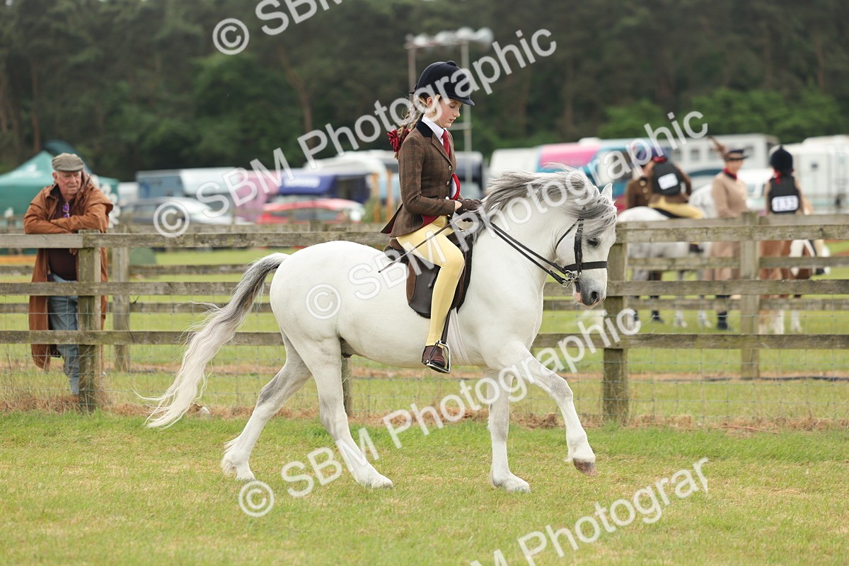 SBM_07149 - Class 76-77 - Ridden M&M Welsh Ponies