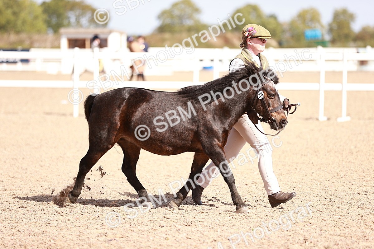 SBM_23000 - Class 707 - IH groom Helpers Class