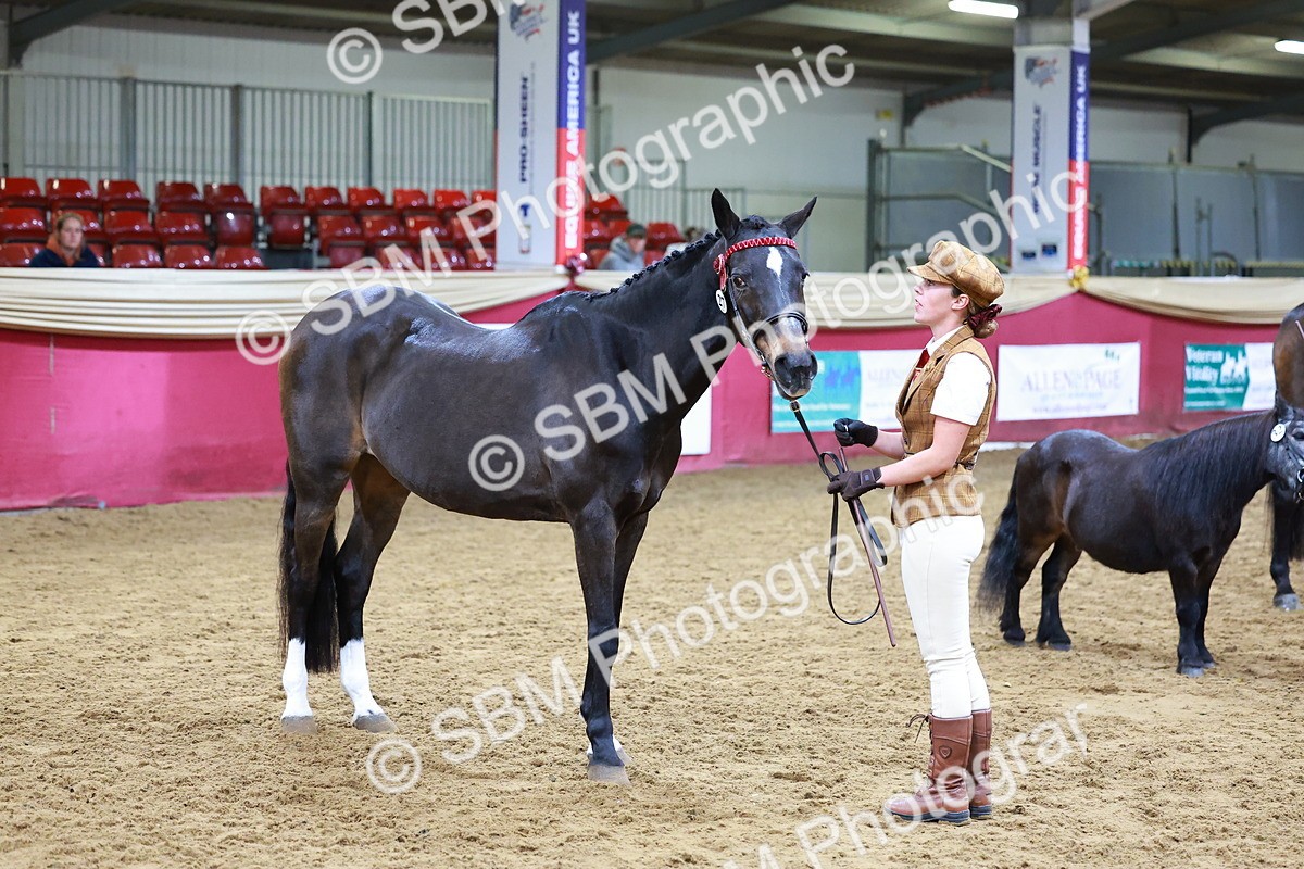 SBM_16221 - Class 901 - Sup Final - IH Diamond