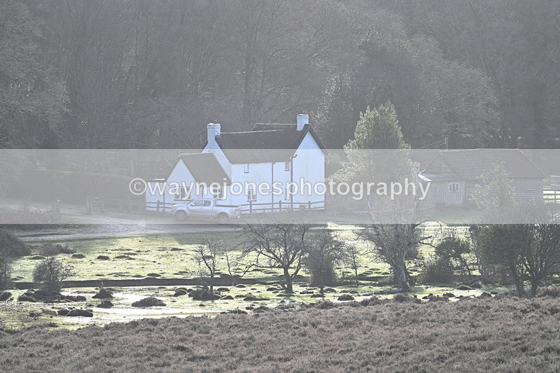 WJ7_7837 - Line 3 (no line 4 or 5)