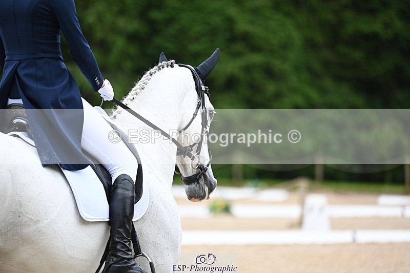 240524-180442-11564 - 163-BRECHFA_BARUCH-Harriet_Beeby_Wynn