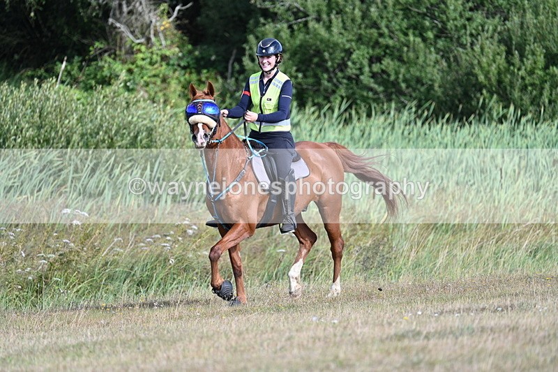 WJ7_3384 - Time 10:15 to 10:26