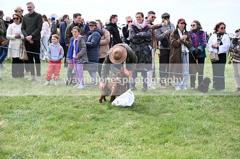 WJ6_8632 - Class 6 Best Rescue