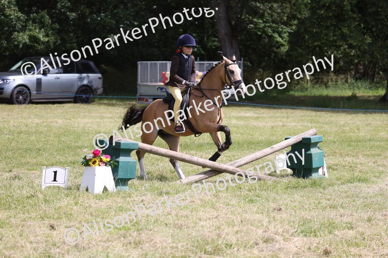 20260614-1883 - Class 21 - Novice Working Hunter Pony