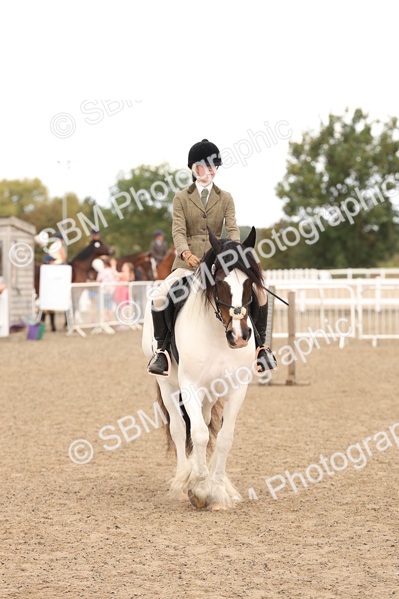 SBM_06682 - Class 58a -  Style & Performance - 70cm (15-19)