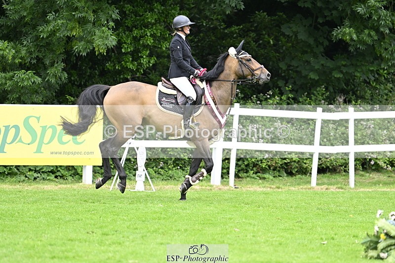 250613A-135841-02435 - Cls 3 Snr Foxhunter