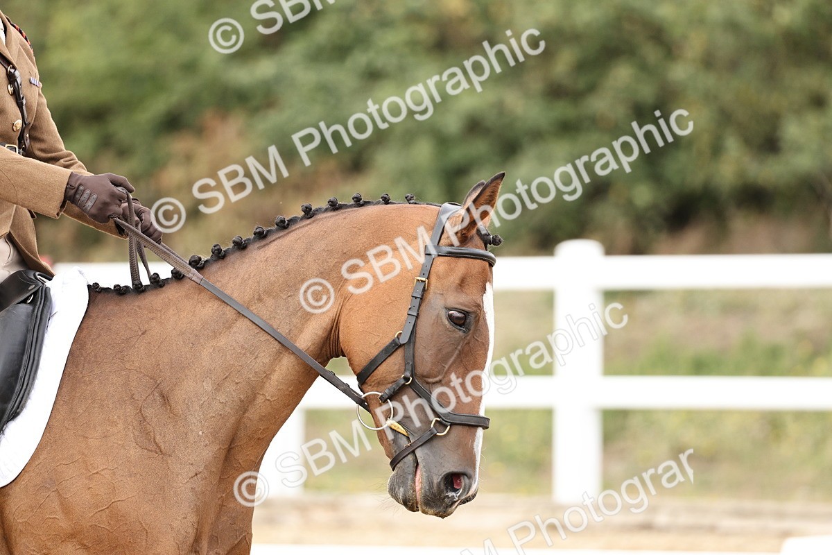 SBM_013232 - Class 3 - Novice 4 - 11.43-12.25