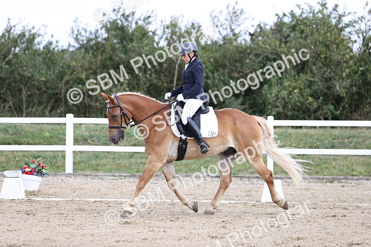 SBM_016759 - Class 14 Novice 23 - 11.53-12.56