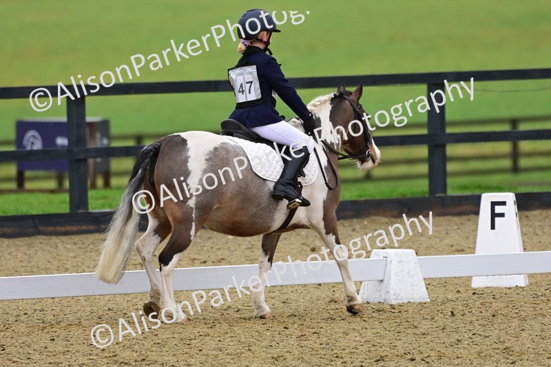 20260125-0644 - Class 9b - Walk Trot Unassisted