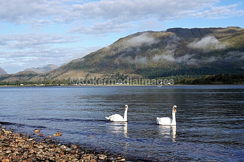 DSC07795 - SEPT 2020 STAYCATION