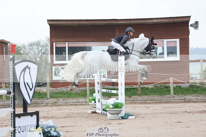 250424-091048-02601 - Cls 29 Young Horse 6yr old