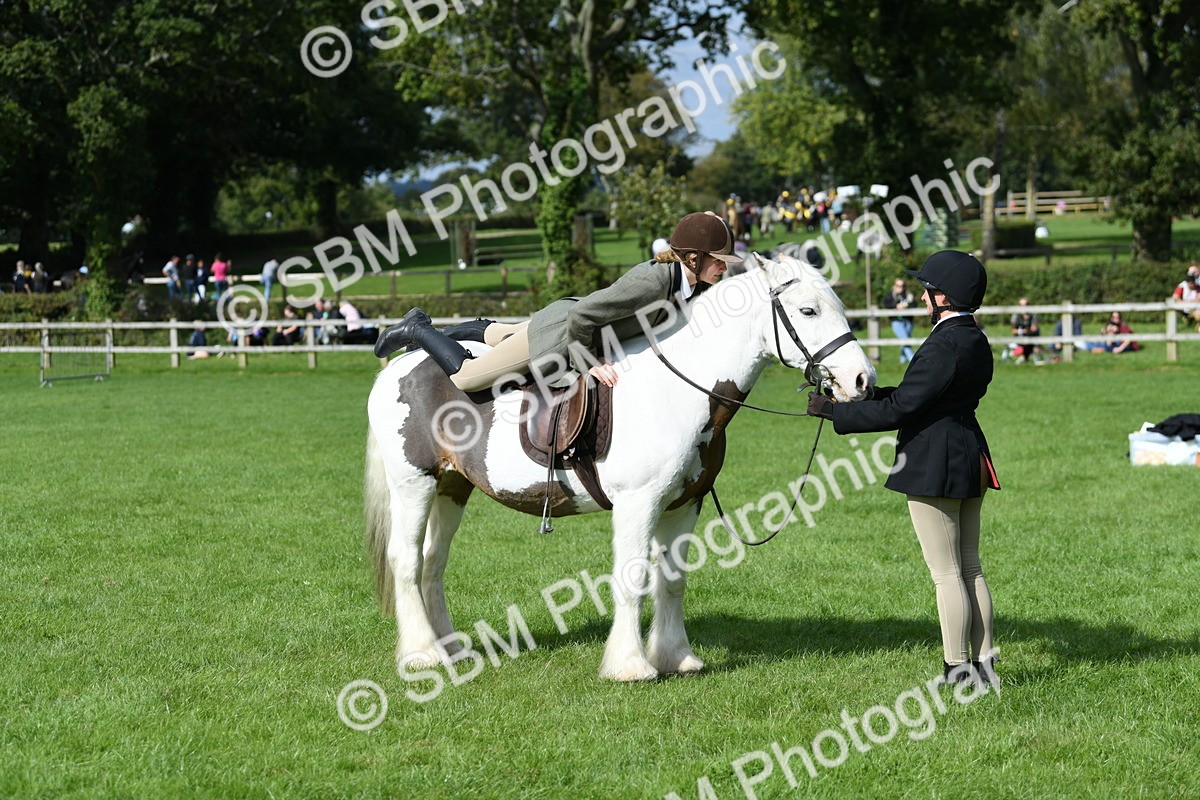 SBM_47030 - S12 - Family Horse & Pony