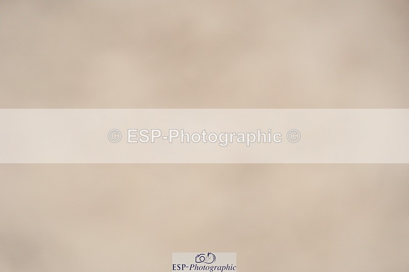 230924A-114554-04646 - 100 SJ 11.00 to 12.00