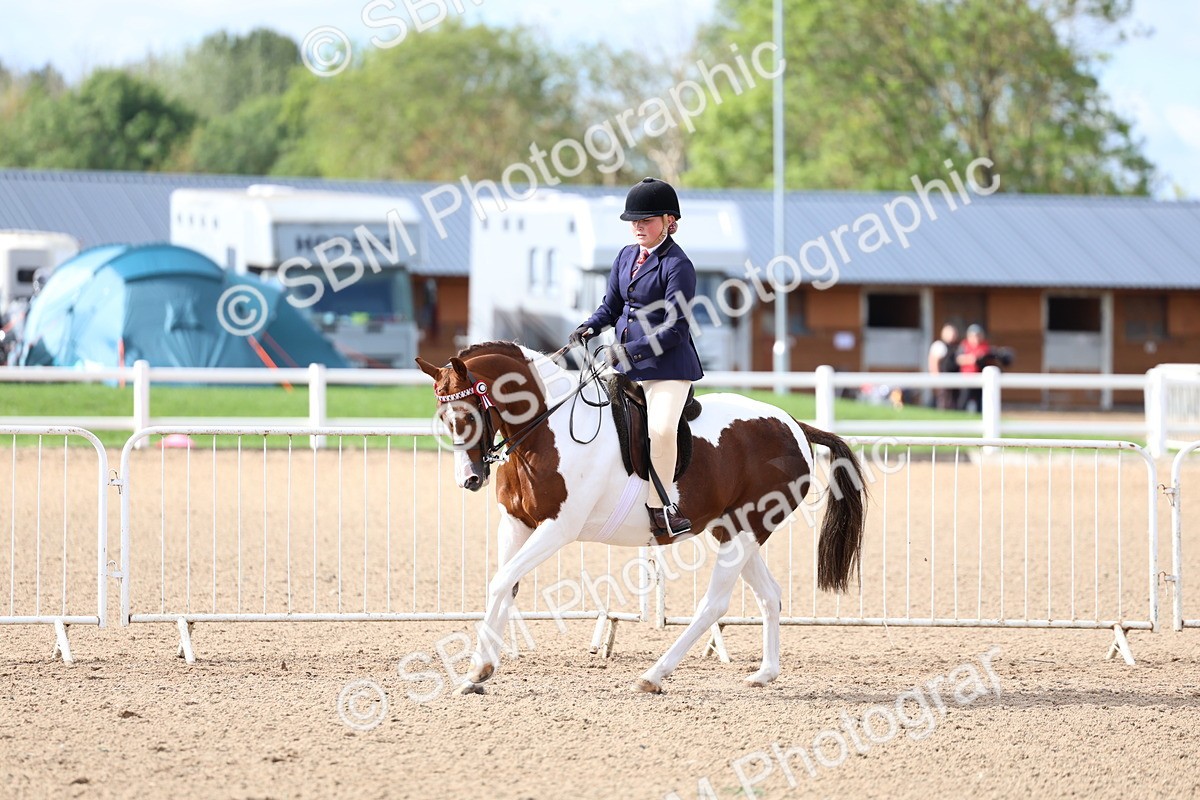 SBM_10068 - Class 304 - Ridden Part Bred Horse Pony