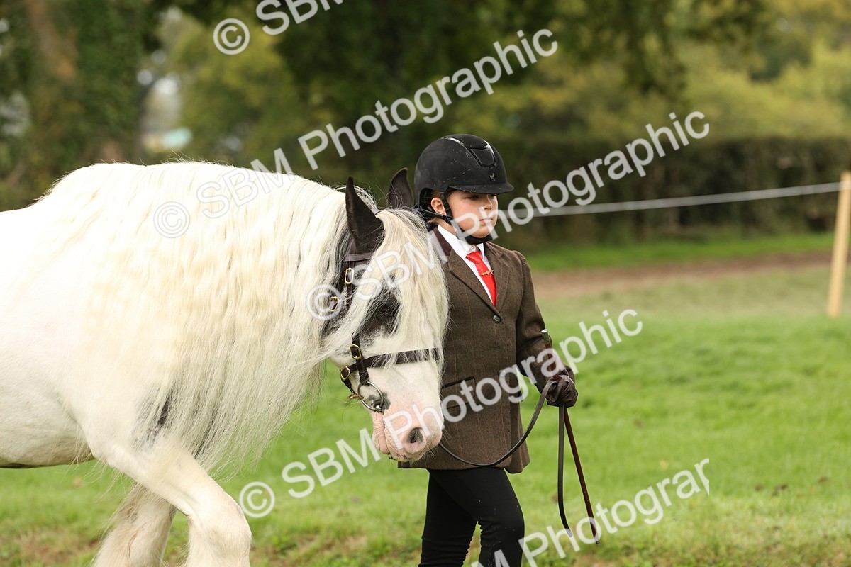 SBM_59211 - S57 - Traditional Cob In Hand