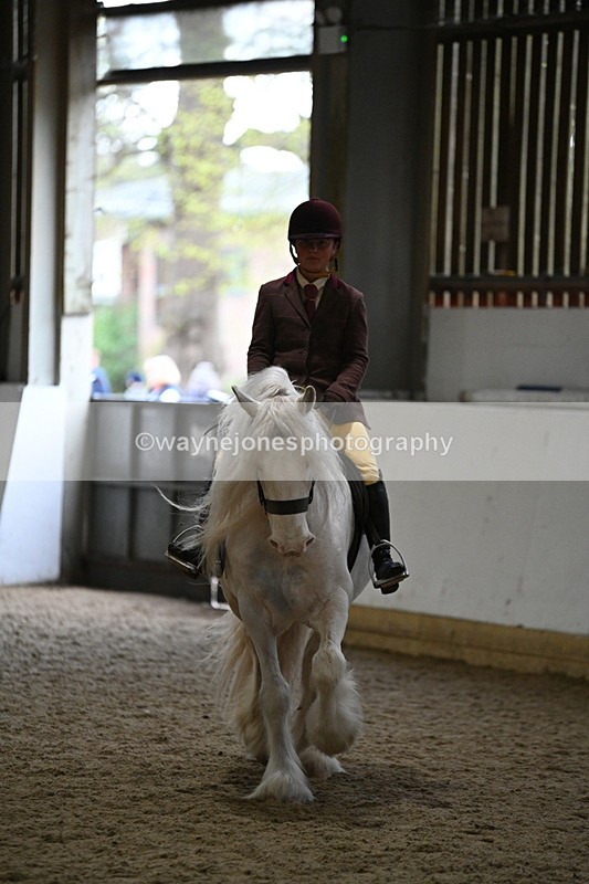 WJ7_4173 - Class 17 Ridden Cob