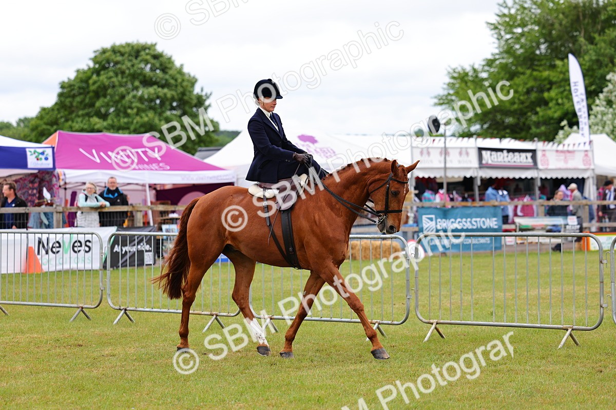 SBM_02717 - Class 9-11 Side Saddle including LIHS Rising Star Ladies Show Horse