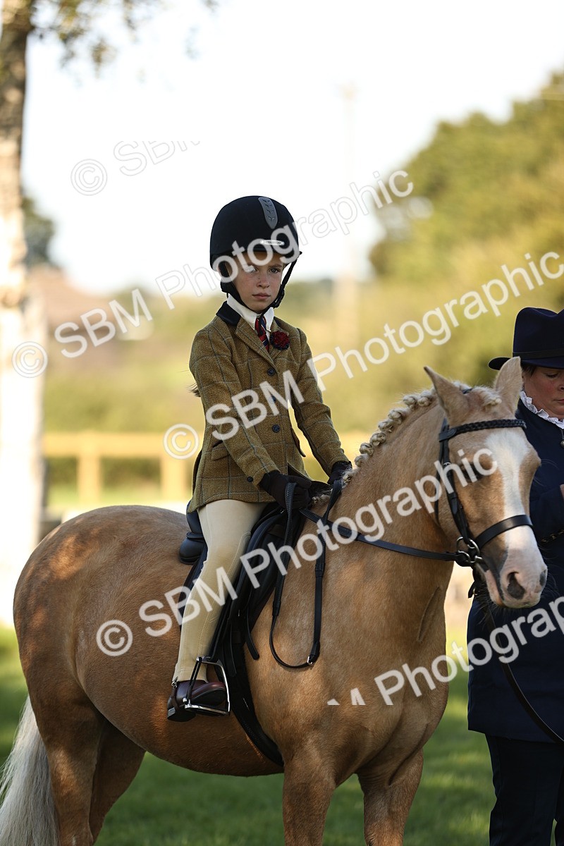 SBM_19243 - S3 - TSR Ridden Pony Showing
