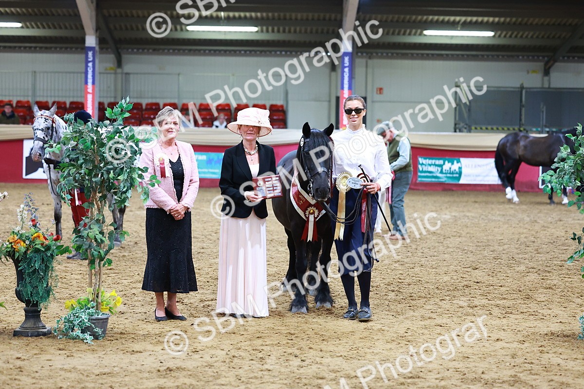 SBM_16290 - Class 901 - Sup Final - IH Diamond