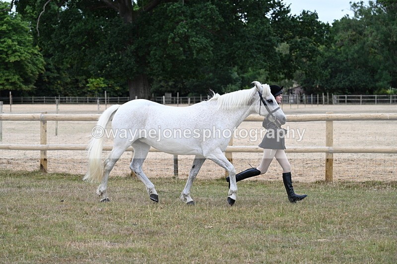 WJ7_8734 - Class 4a Prettiest Mare 14.2hh and over