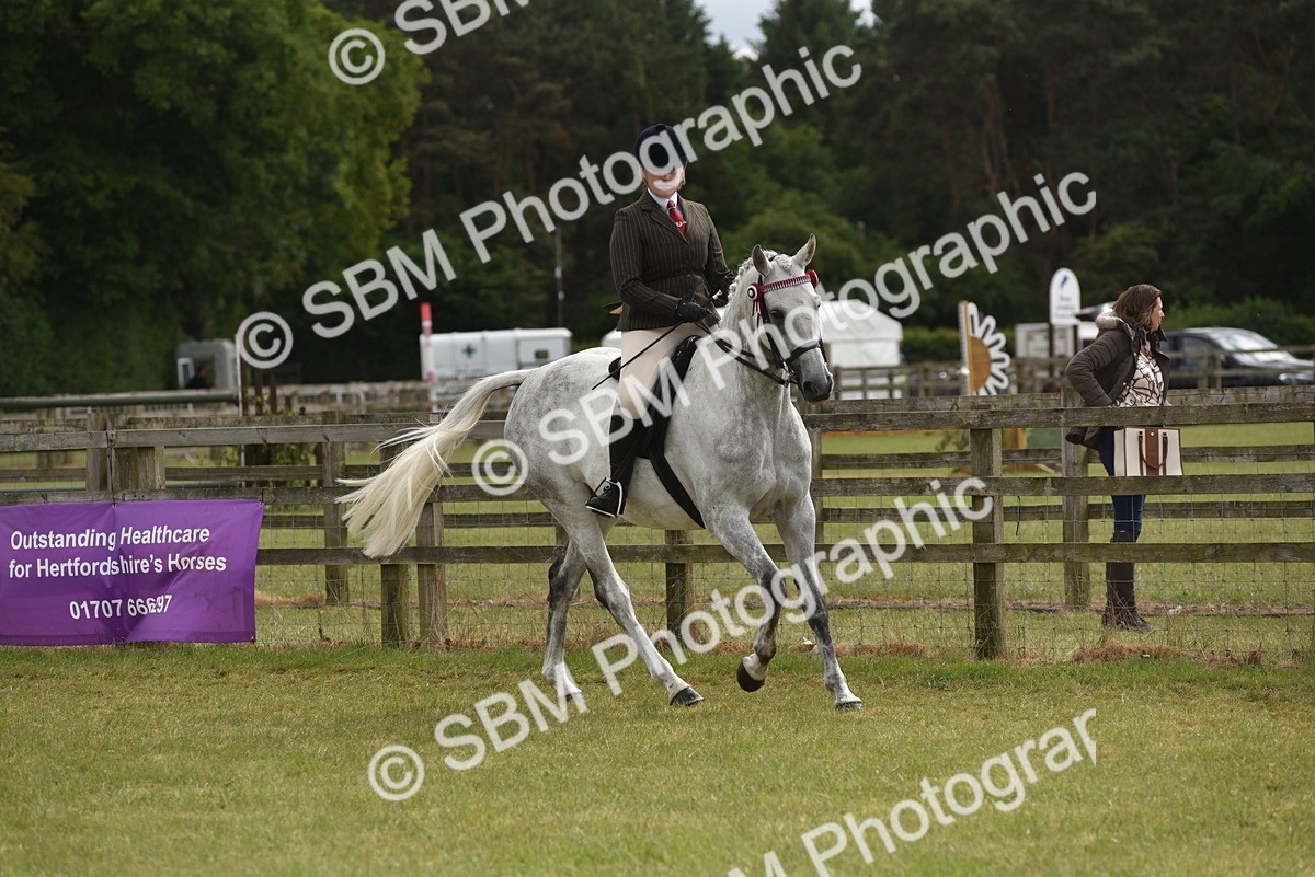 SBM_17715 - Class 122-123 - LIHS BHSA Raising Star Style and Performance Series