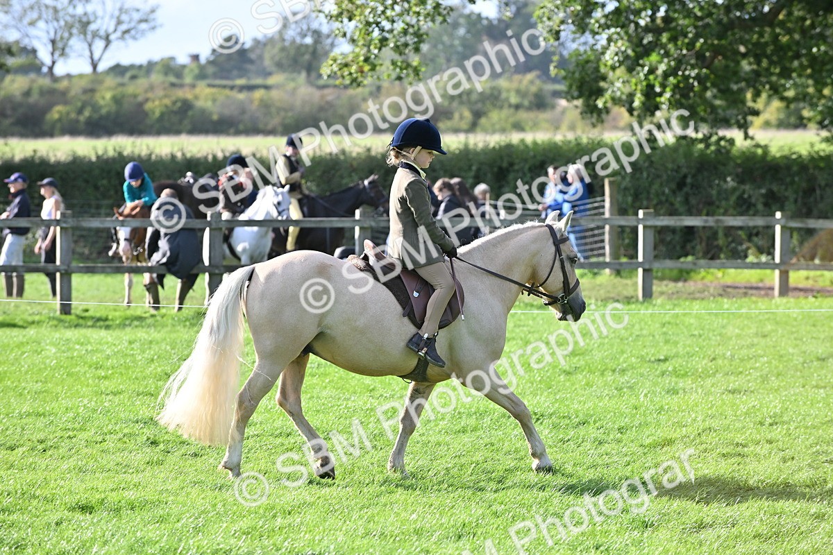 SBM_51262 - S22 - First Ridden show and show Hunter Pony