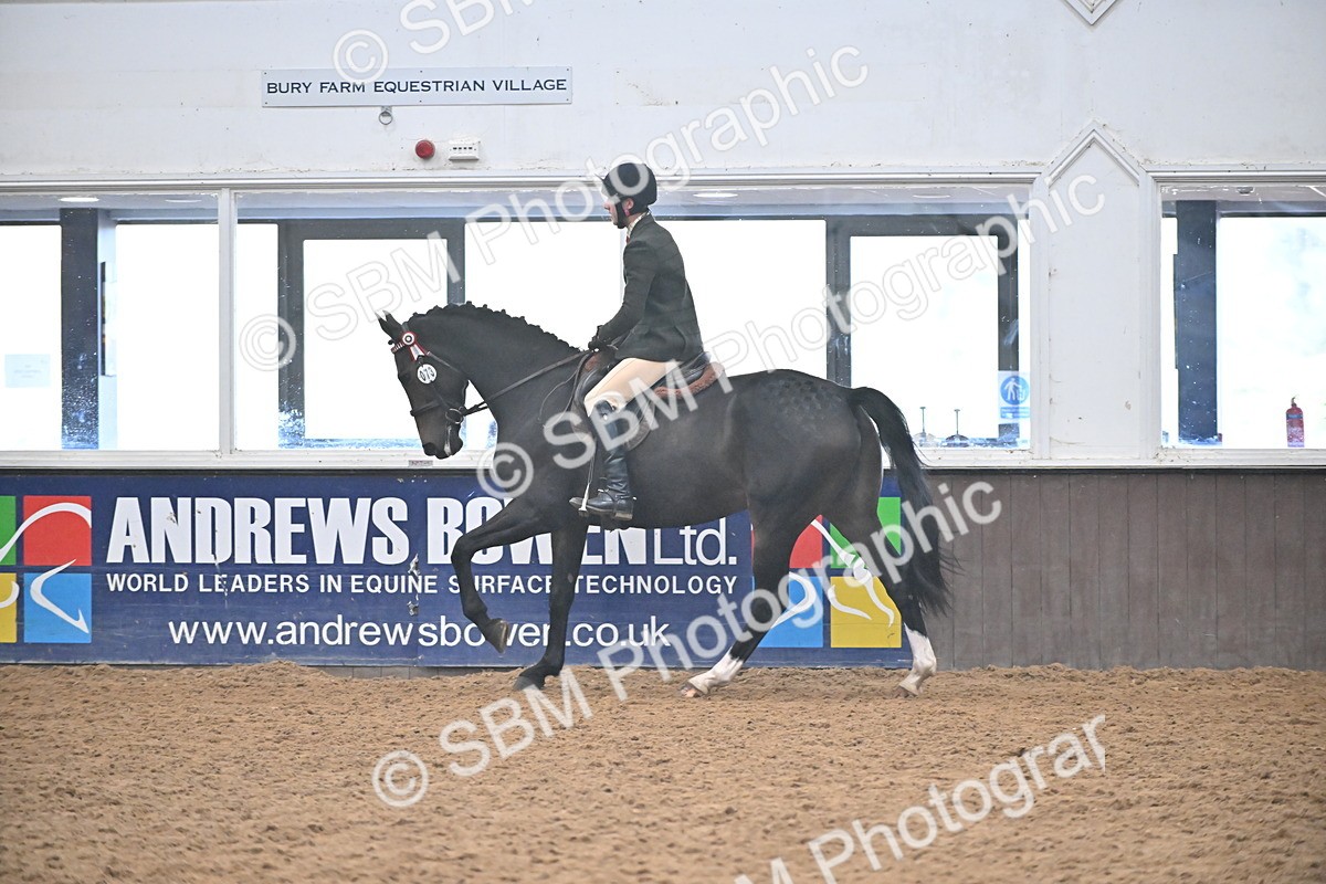 SBM_002398 - Class 22 - BSHA Ridden Hack & Riding Horse