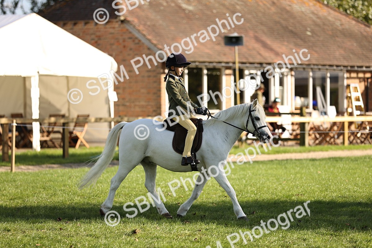 SBM_29308 - S7 - Novice & Newcomers Ridden Pony