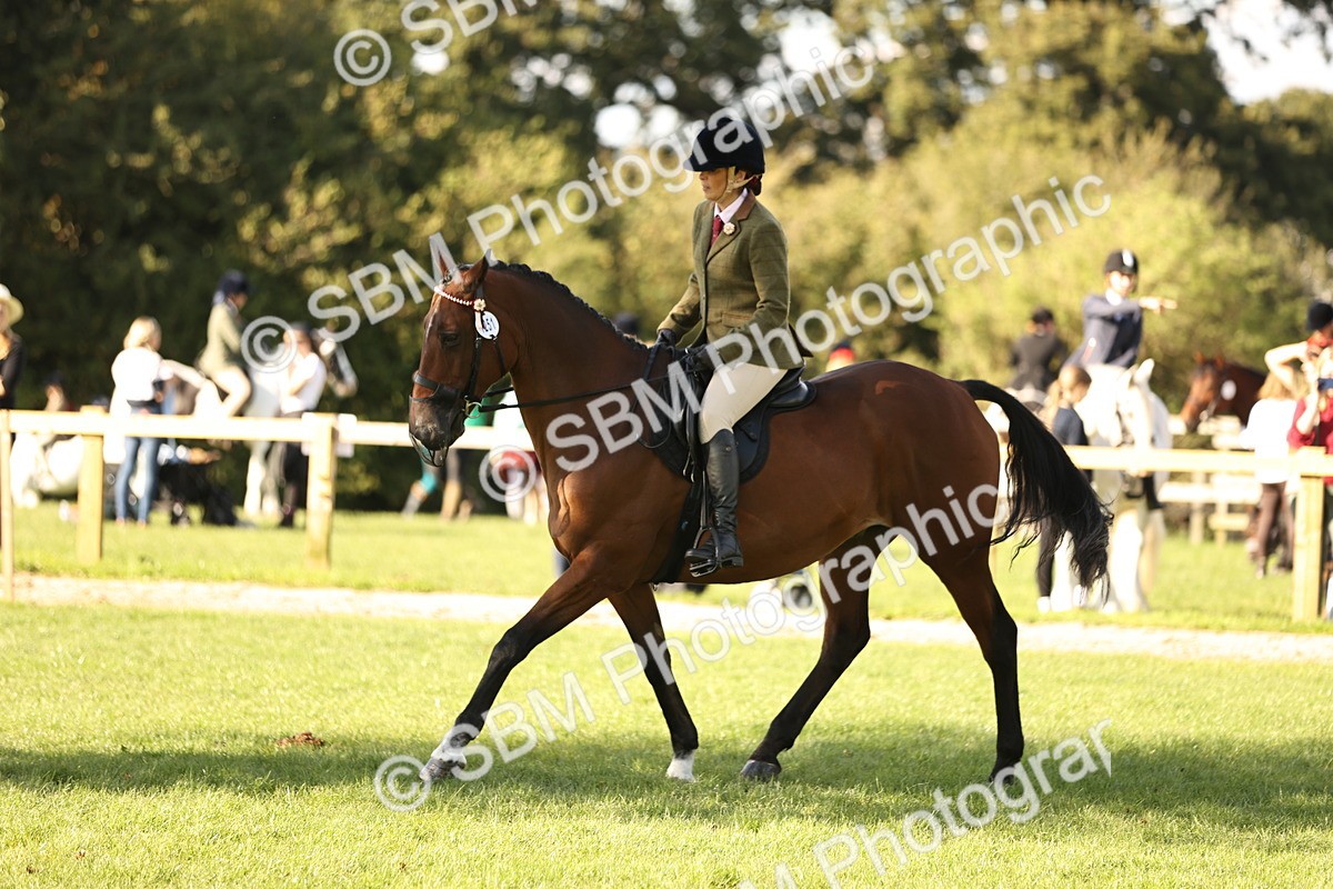 SBM_26457 - S6 - Novice & Newcomers Ridden Horse