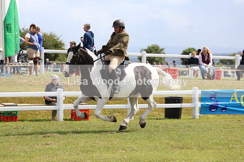 3E7A9780 - Class 5: Rising Star Lightweight/Heavyweight Cobs