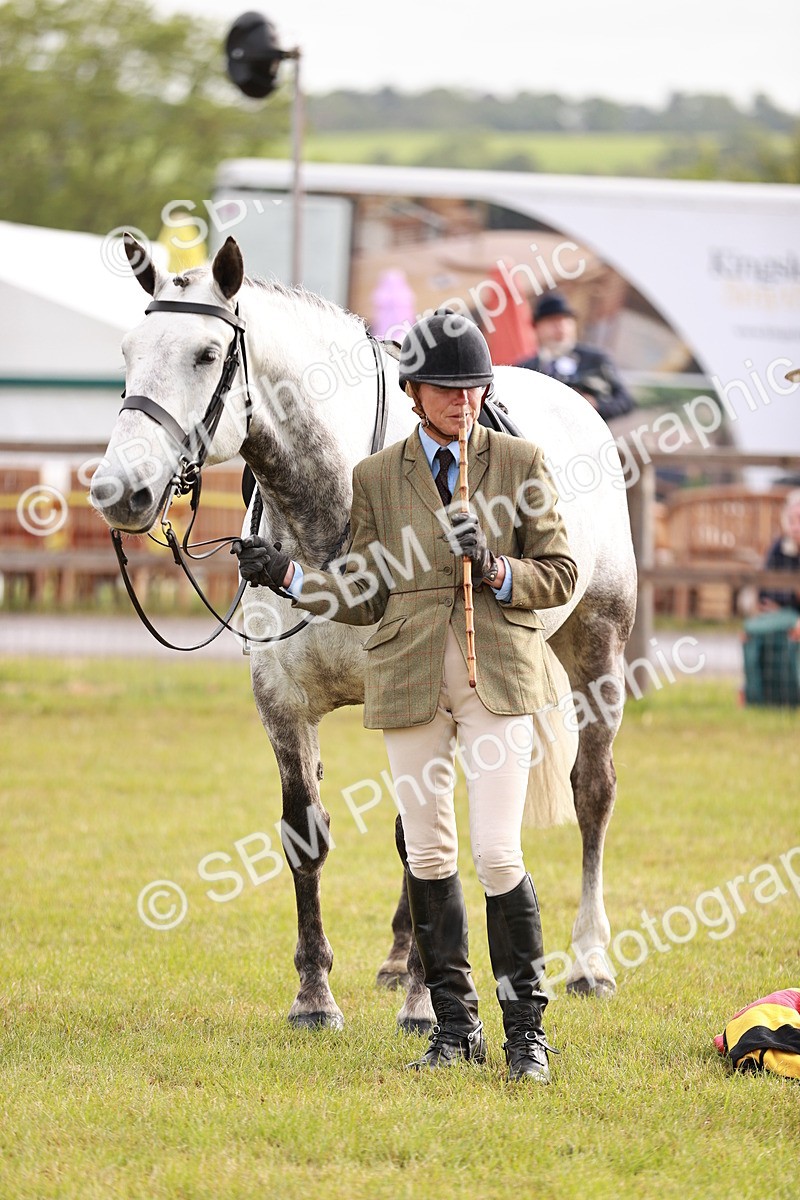 SBM_10797 - Class 81-84 - RIHS Ridden hunters Inc Ladies Hunter