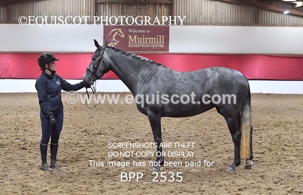 BPP_2535 - LOOSE JUMPING / SPSS