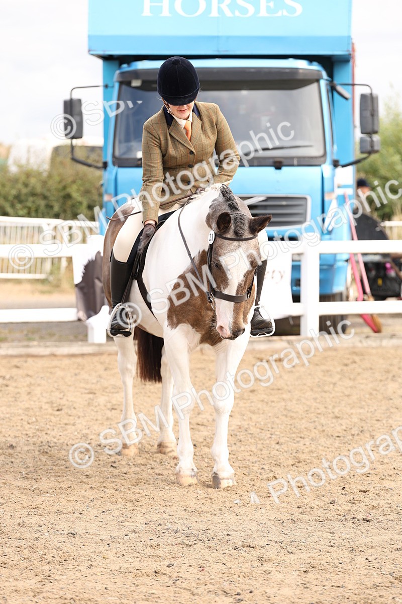 SBM_04297 - Class 54 - Riding Club Horse/Pony