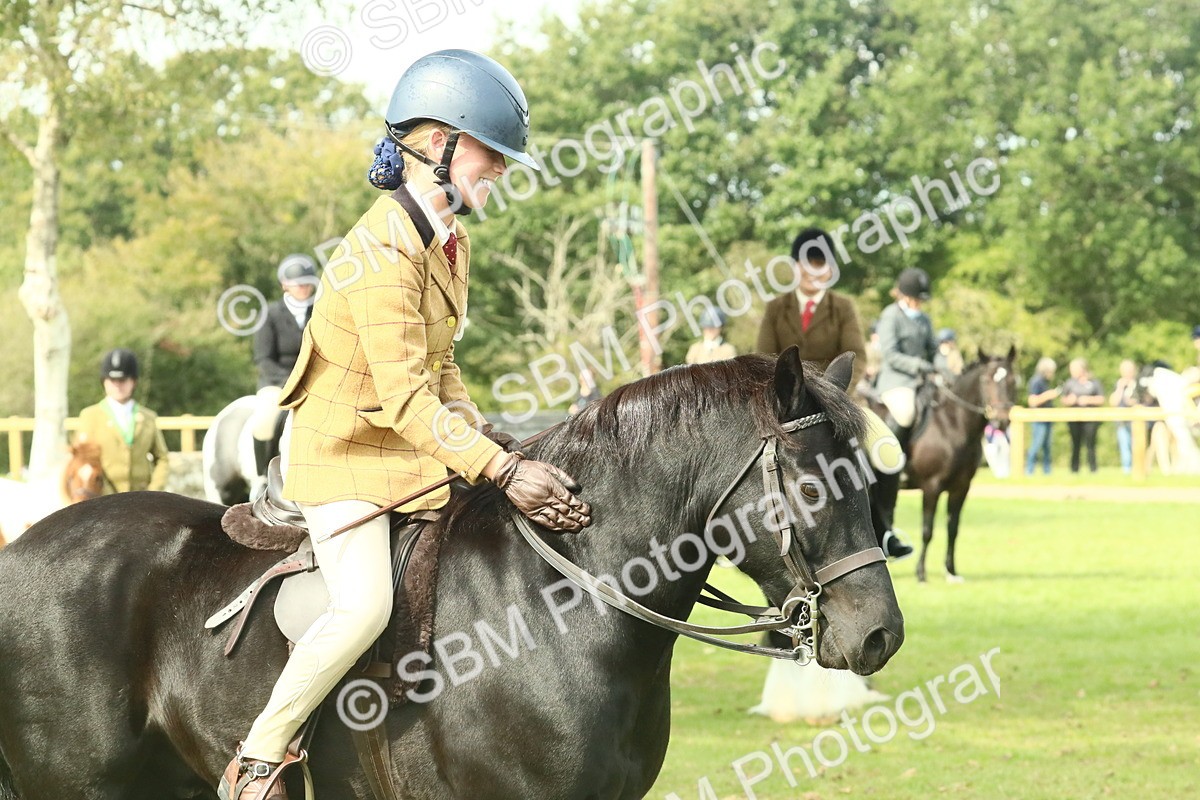 SBM_66726 - S34 - Rehabilitated Rescue Horse & Pony In Hand & Ridden
