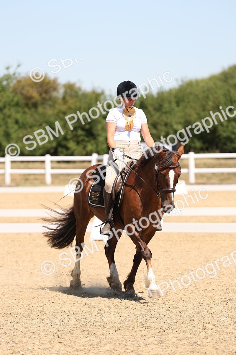 SBM_001308 - Intro 2