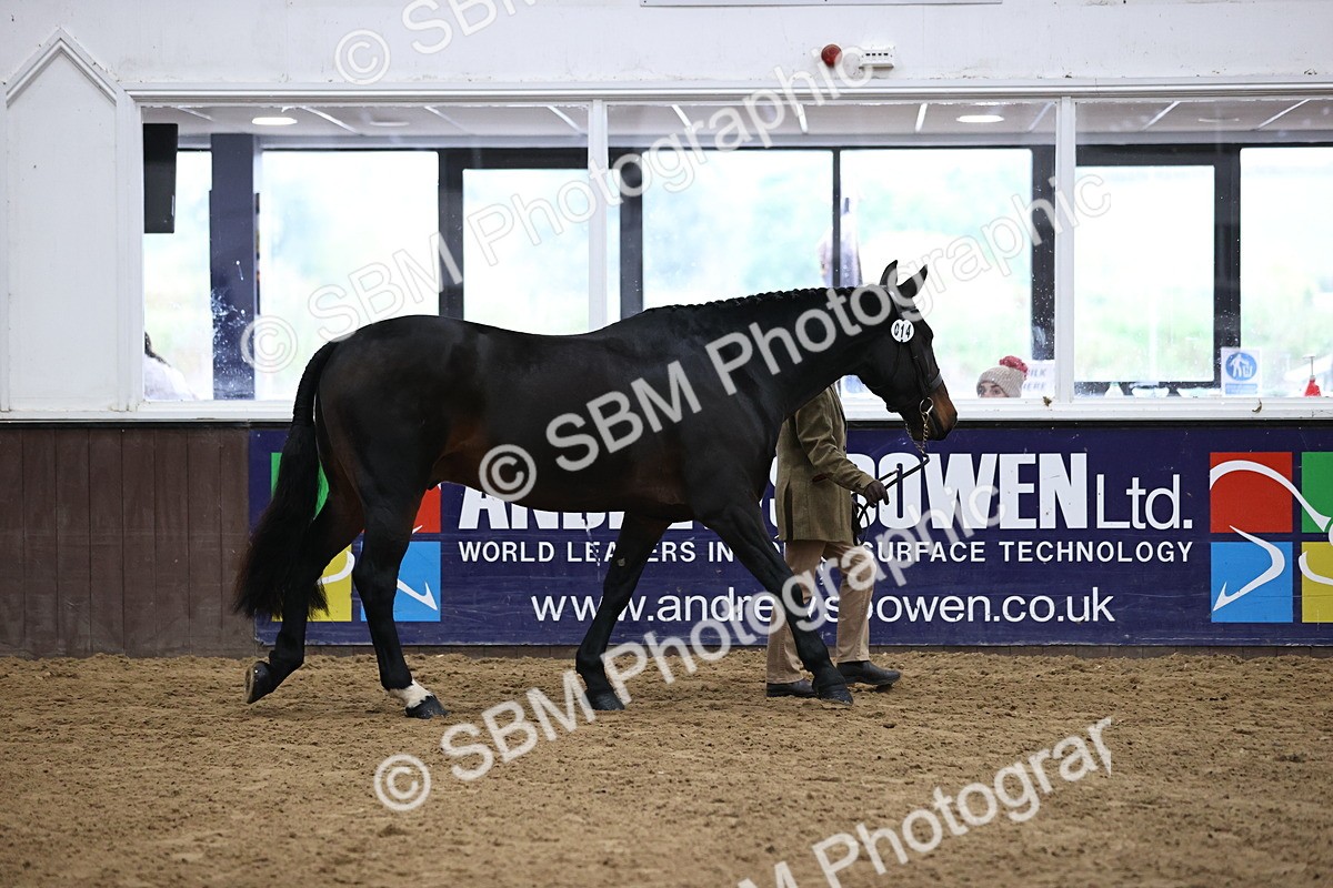 SBM_5606 - Class 40 - RESS In Hand Qualifier