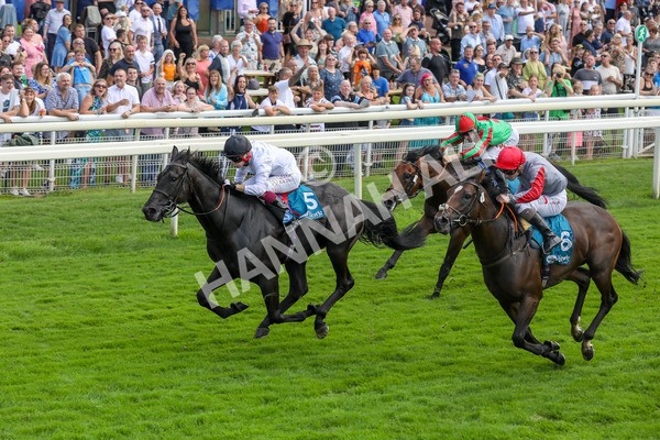 100923-Race 2-Florida-3800 - Race 2 2.15pm John And Judith Marshall Memorial Handicap