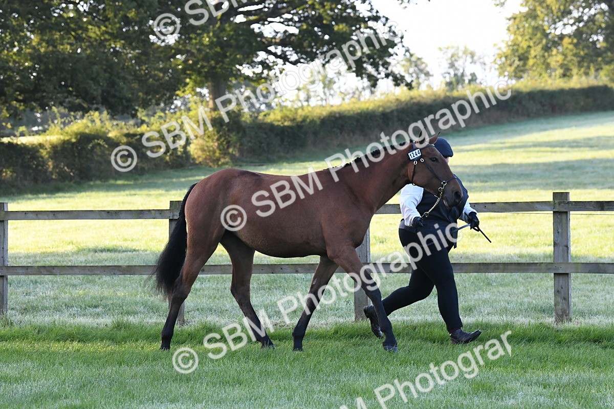 SBM_32561 - S15 - Condition & Turnout In Hand