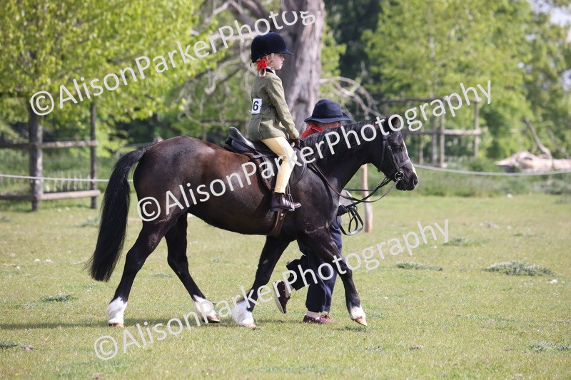 20260426-0588 - Class 31 - Leading Rein