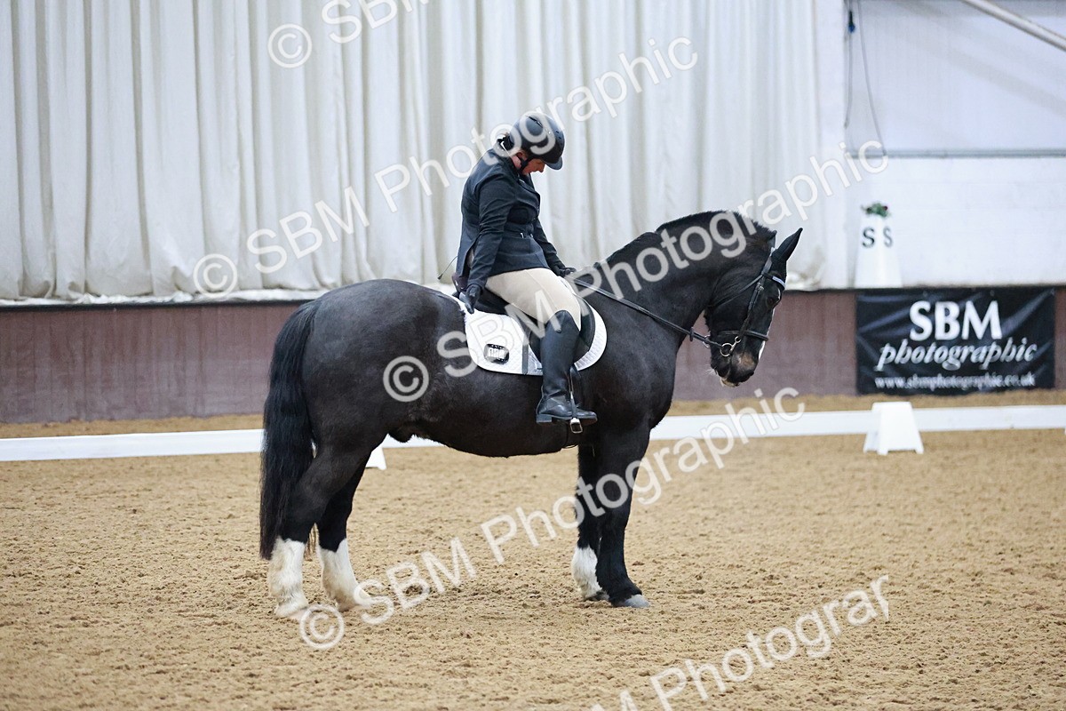SBM_000177 - Class 17-6-18 - TQ U21 Novice 3Novice 3-MQ Open Prelim 1