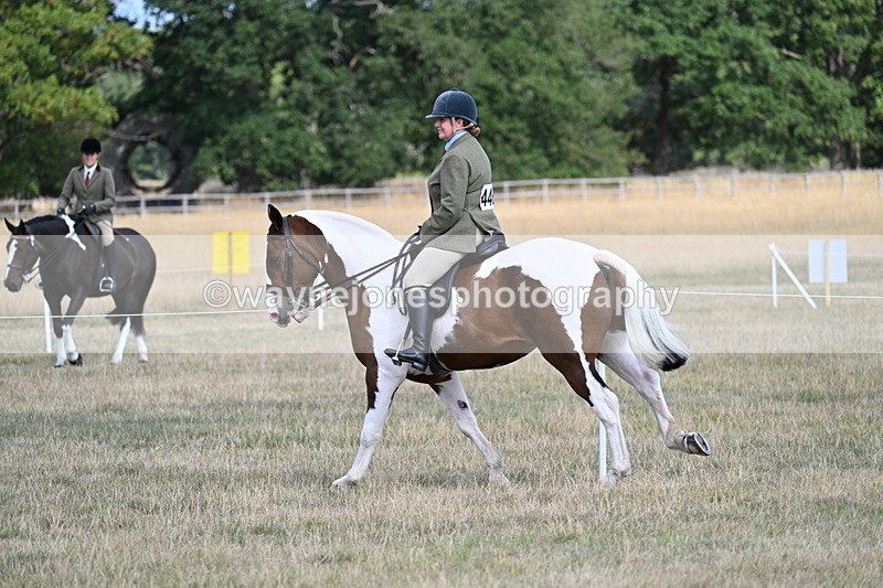 WJ7_7256 - Class 14 Ridden Coloured