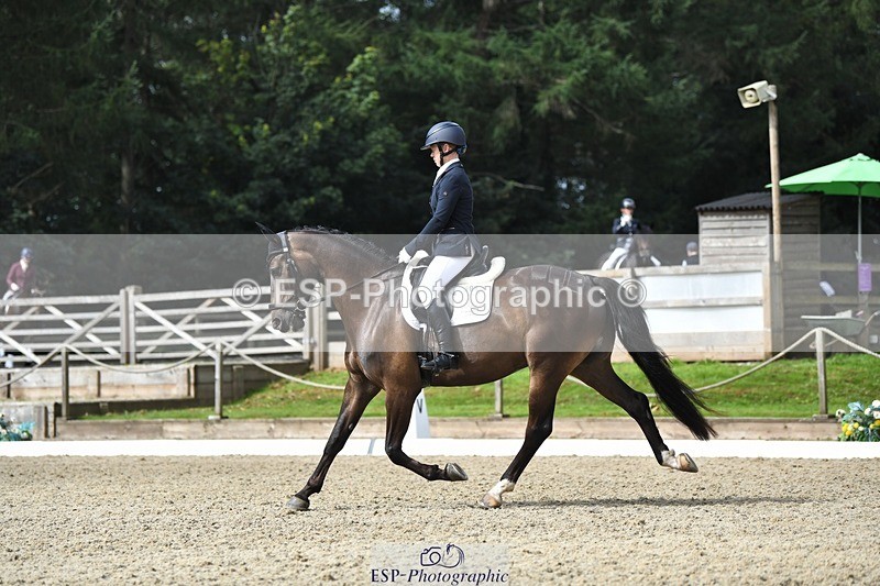 230812-104409-03456 - Cls 6 Novice Silver 10.30 to 11.55 break