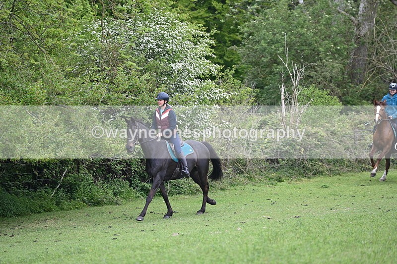 WJ6_2938 - A Camera
