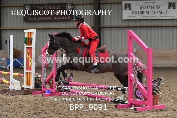 BPP_9091 - CLASS 3 50CM-70CM Pairs Show Jumping