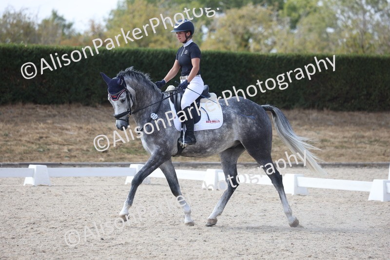 20260815-1007 - Class 5 - Novice 1