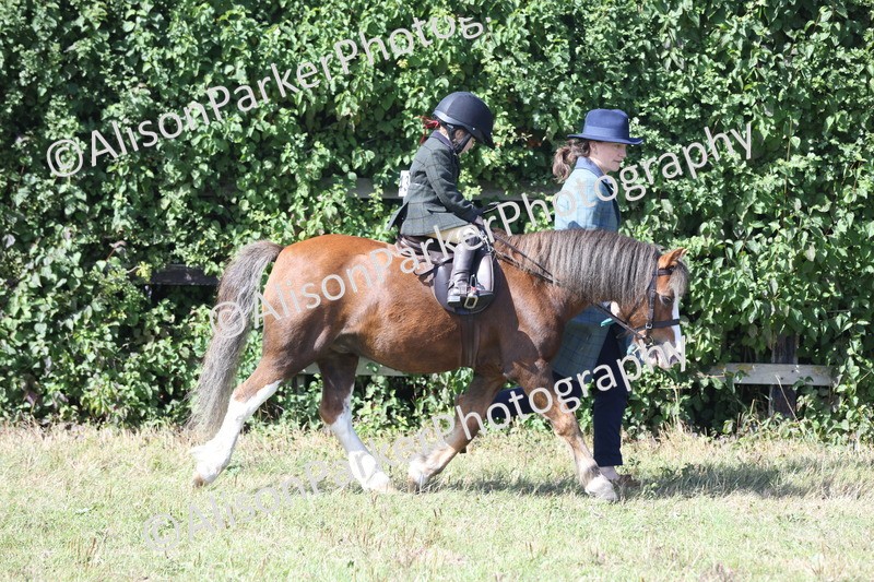 20250831-2612 - Class 17 - Lead Rein Pony