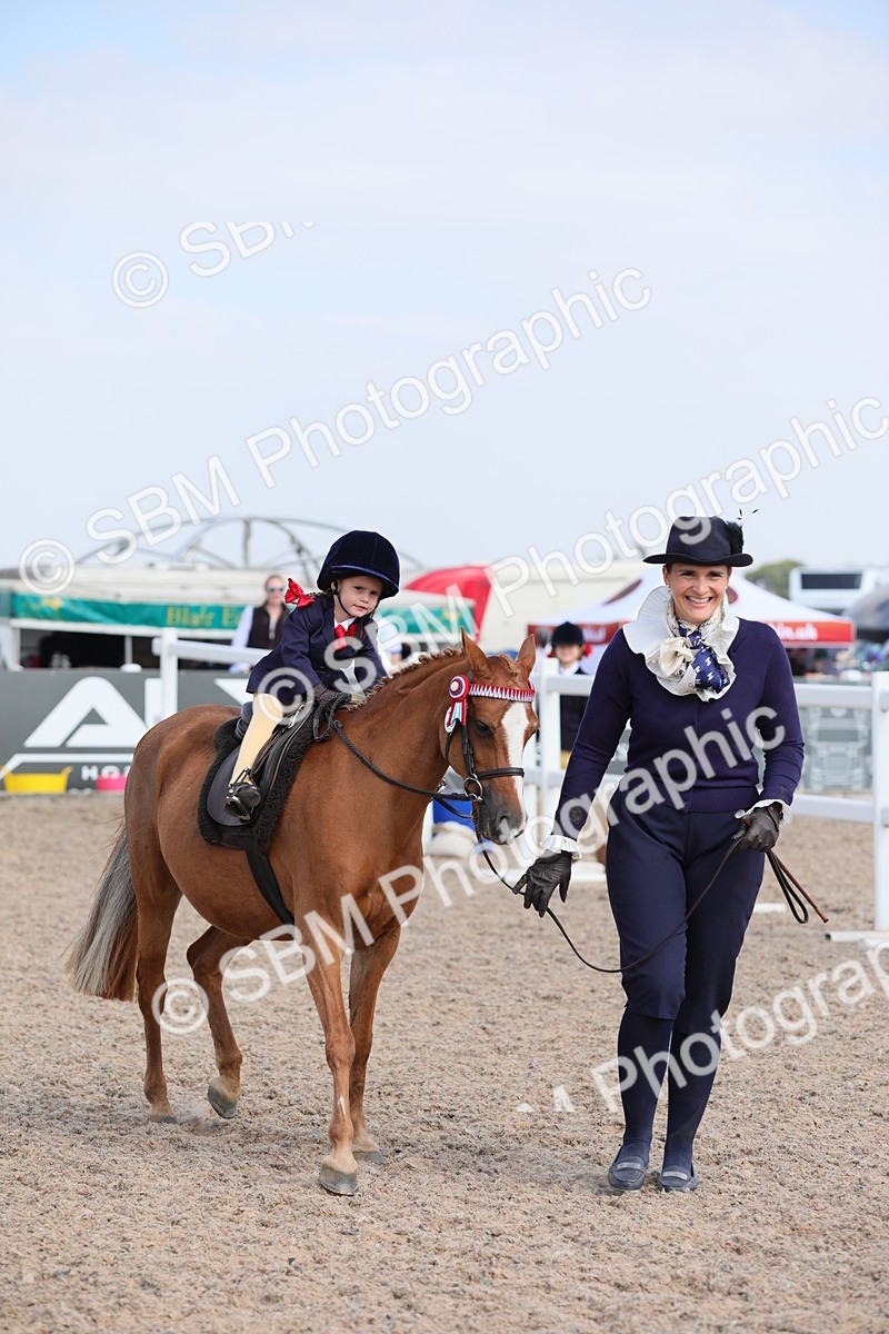 SBM_14013 - Class 309 Lead Rein Pony